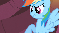 "Ponyville style!" Rainbow is not lying when she says that.