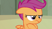 Scootaloo wearing an angry pout S8E6