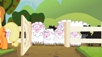 Sheep Talk S2E5