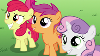 The Cutie Mark Crusaders smiling S6E4