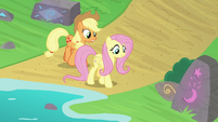 AJ and Fluttershy look for foal's-breath S8E23