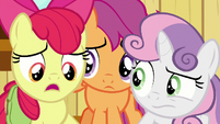 Apple Bloom -the book didn't really say- S9E12