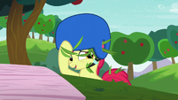 Apple Bloom with grasses in her helmet S6E4