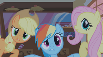 Applejack Rainbow Fluttershy S01E09