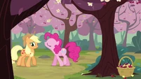 Pinkie Pie cornering Applejack with complete randomness.