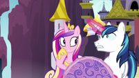 Cadance pleasantly surprised; Shining Armor shocked S7E22