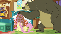 Fluttershy still looking under her bed S5E21