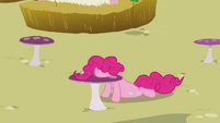 Pinkie Pie slamming her face onto the table S3E03