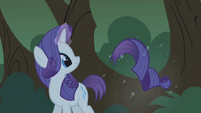 "Rarity, who calmed a sorrowful serpent with a meaningful gift represents the spirit of... generosity!"