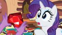 Rarity snapped out of her daze.