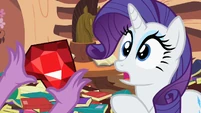 Rarity snapped out of her daze.