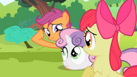 Scootaloo thinks Twilight has gone loco.