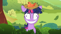 Twilight Sparkle with a bird's nest on her head S2E03