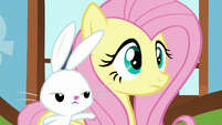 Angel tapping on Fluttershy S5E23