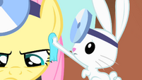 Angel wipes off Fluttershy's sweat S01E22