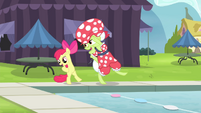 Apple Bloom and Granny Smith stretching 2 S4E20
