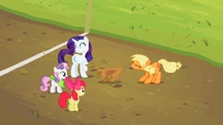 So... apparently Applejack gets her beauty products from Rarity... or Equestrian ponies have slick bodies.