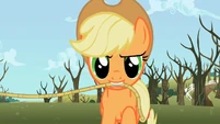 ..While, Applejack holds the other side.