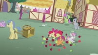 Crusaders tripping over apples S5E18
