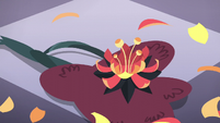 Dragon sneeze flowers on the summit hall floor S5E10