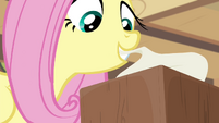 Flutters grabbing a napkin.