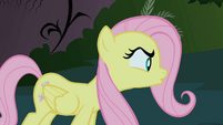 Fluttershy talks to the Cockatrice S1E17