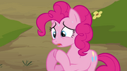 Pinkie Pie's duplicate worried S3E03