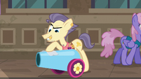 Pouch Pony polishing his party cannon S6E3