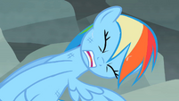 Rainbow Dash struggling to pull free S2E07