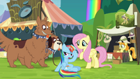 Rainbow next to Fluttershy and orthros S4E22