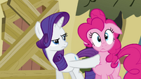 Rarity jab Pinkie Pie S2E19