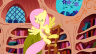 S01E03 Fluttershy czyści półki