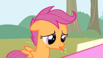 Scootaloo pffft S1E18