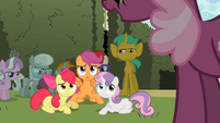 The Cutie Mark Crusaders are done fighting S2E01