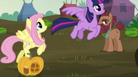 Twilight and Fluttershy fly to the McColts' home S5E23