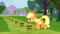 Applejack 1 S3E8