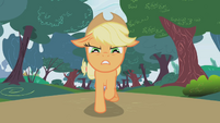 The frightened rabbits run away and Applejack chases them.