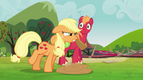 Applejack clean up after yourselves S3E03