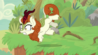 Autumn Blaze tripping over a root S8E23