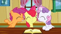 Cutie mark plan sounds good!