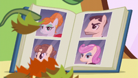 Clumps of fake hair falling in front of mane styles book S6E11