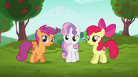 Cutie Mark Crusaders hear Cheerilee's announcment S6E14