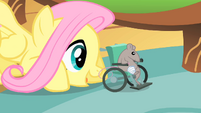 Fluttershy 'There you go Mr Mousy' S1E22