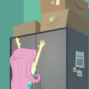 Fluttershy Eg Gallery Forgotten Friendship My Little Pony Friendship Is Magic Wiki Fandom This trope was heavily implied when. my little pony friendship is magic wiki