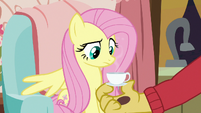 Fluttershy looks disappointed at teacup S7E12