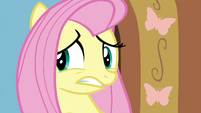 Fluttershy worried about Seabreeze S4E16