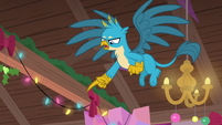 Gallus -no matter what you call them- S8E16