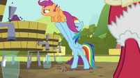 Rainbow and Scootaloo alley-oop S5E17