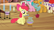 S04E15 Apple Bloom alchemik