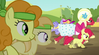 Apple Bloom and Orchard Blossom take the lead S5E17